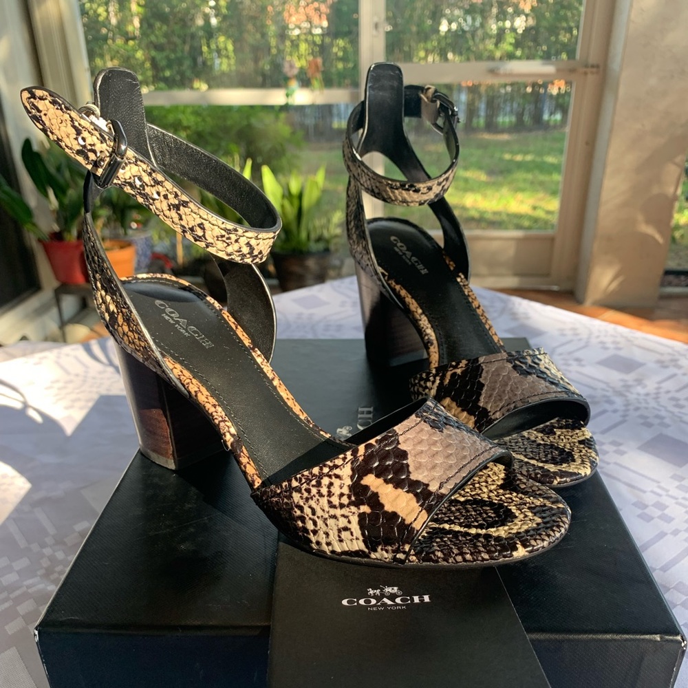 BRAND NEW Coach Pipher Python/Anaconda Size 6.5 Wooden Heel with Ankle Clasp